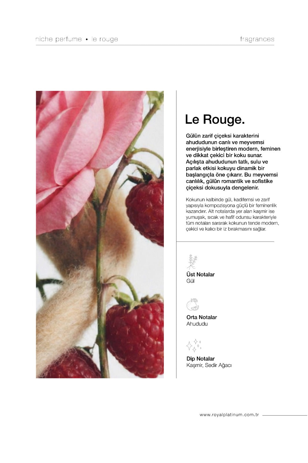 Le Rouge Kadın EXTRAIT DE PARFUM 30 ML Gül - Ahududu - Kaşmir | Çiçeksi Seri