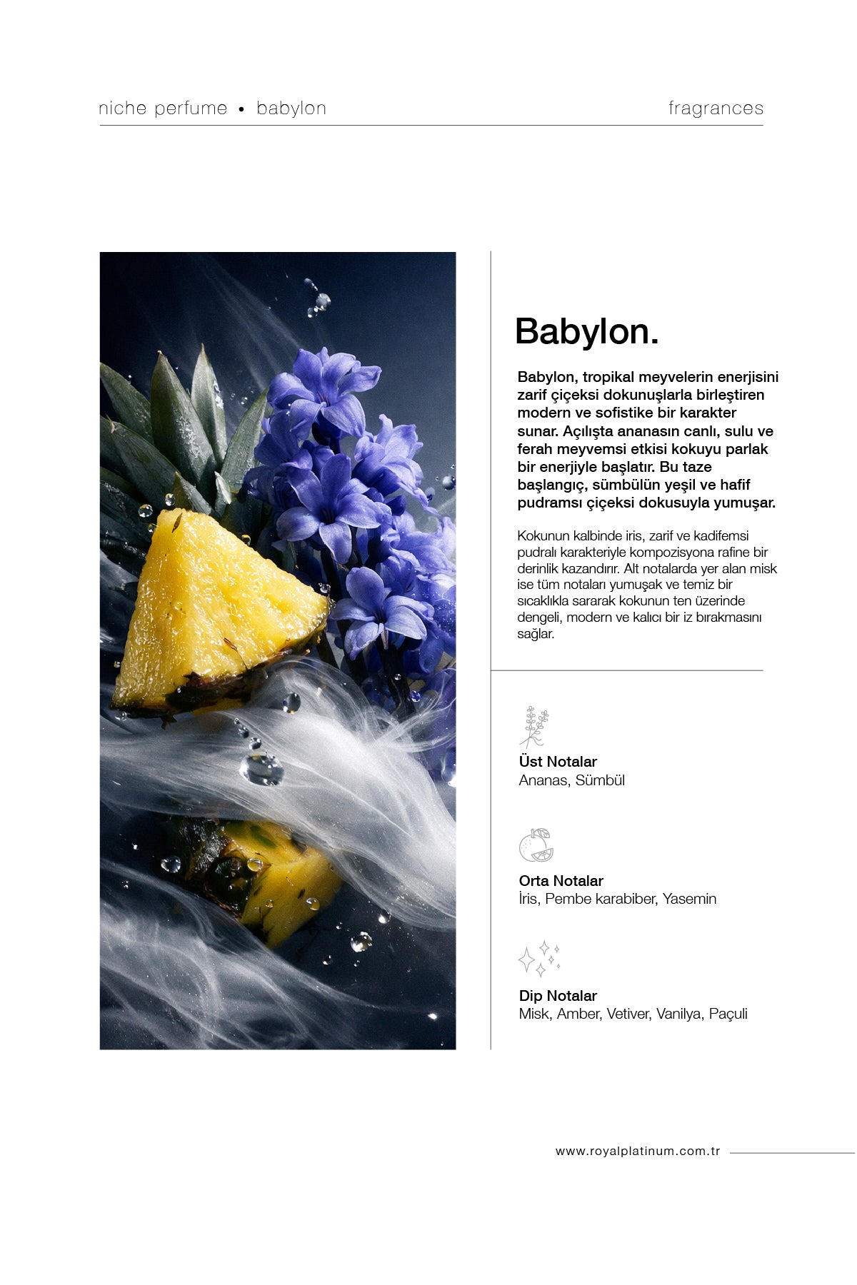 Babylon Erkek EXTRAIT DE PARFUM 100 ML Ananas - Misk - İris Çiçeği | Ferah Seri