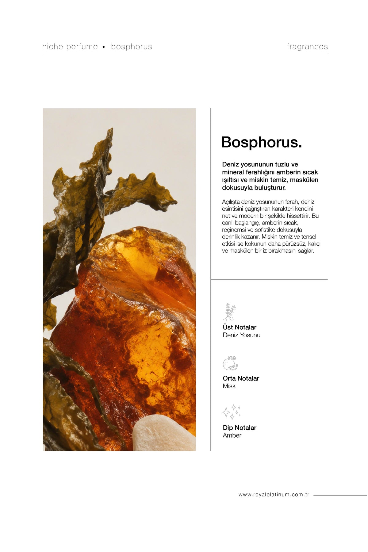 BOSPHORUS 30ML