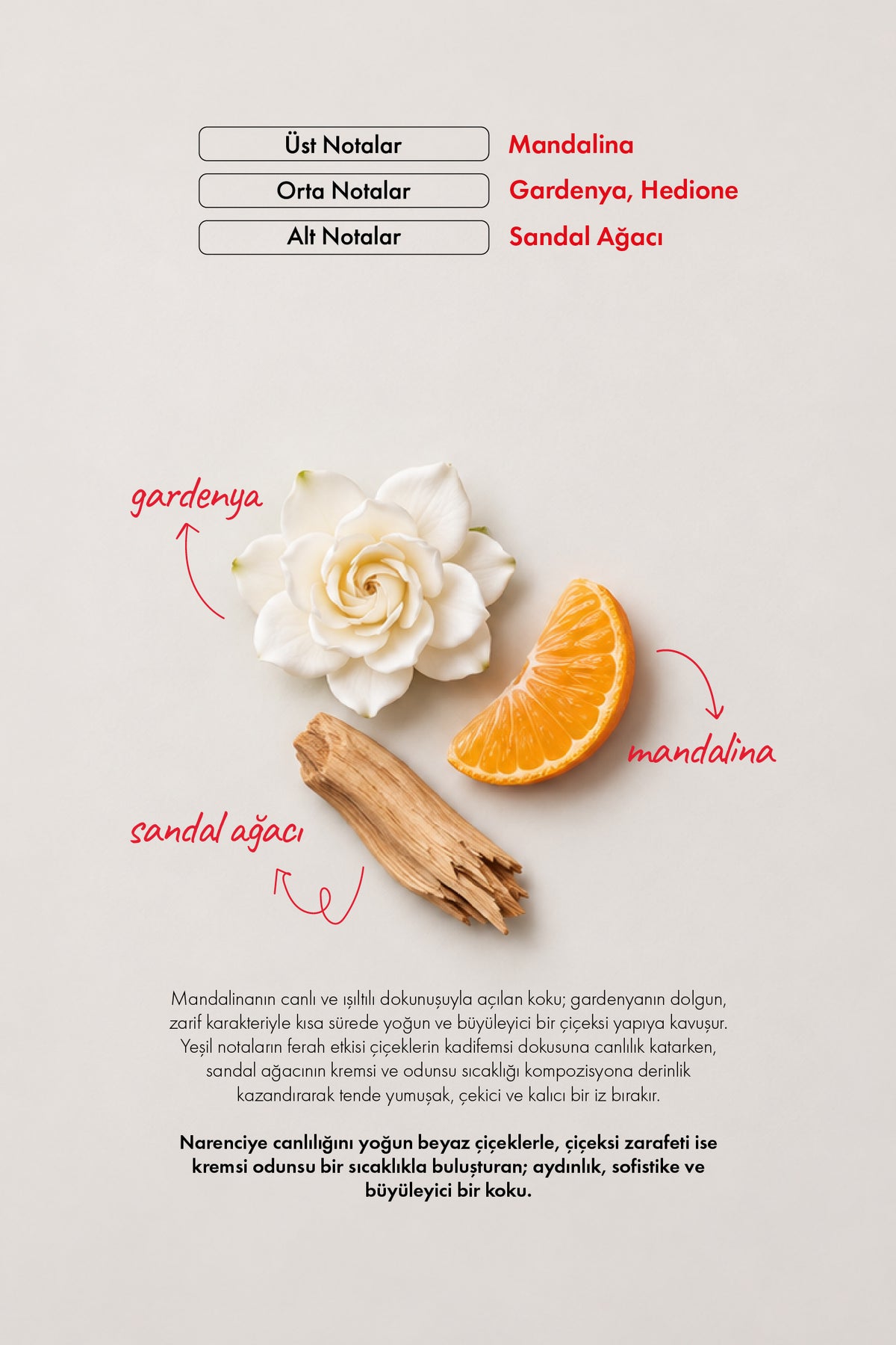Jardin Blanc Kadın EXTRAIT DE PARFUM 100 ML Gardenya - Mandalina - Sandal Ağacı | Çiçeksi Seri