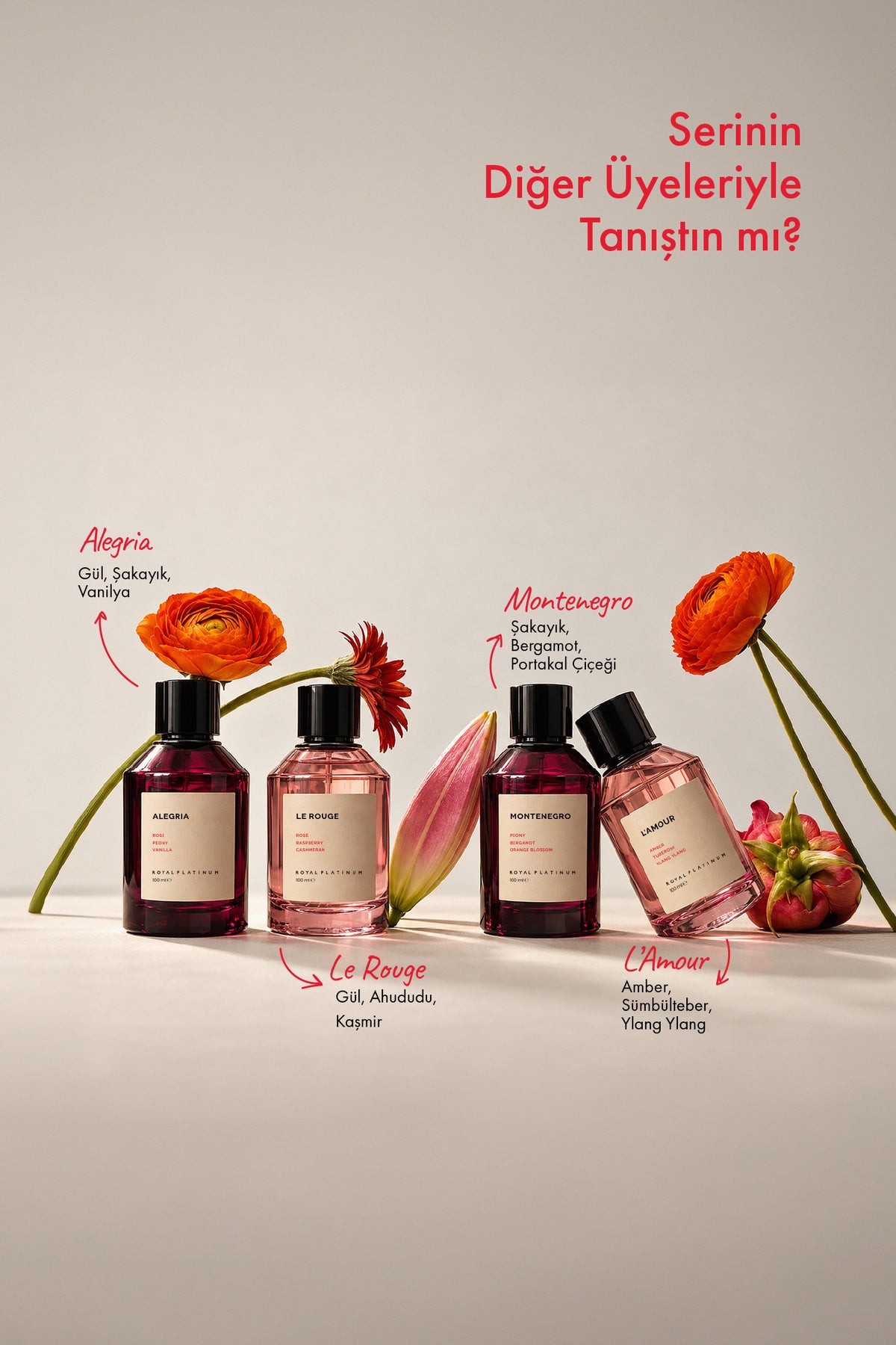 Jardin Blanc Kadın EXTRAIT DE PARFUM 100 ML Gardenya - Mandalina - Sandal Ağacı | Çiçeksi Seri