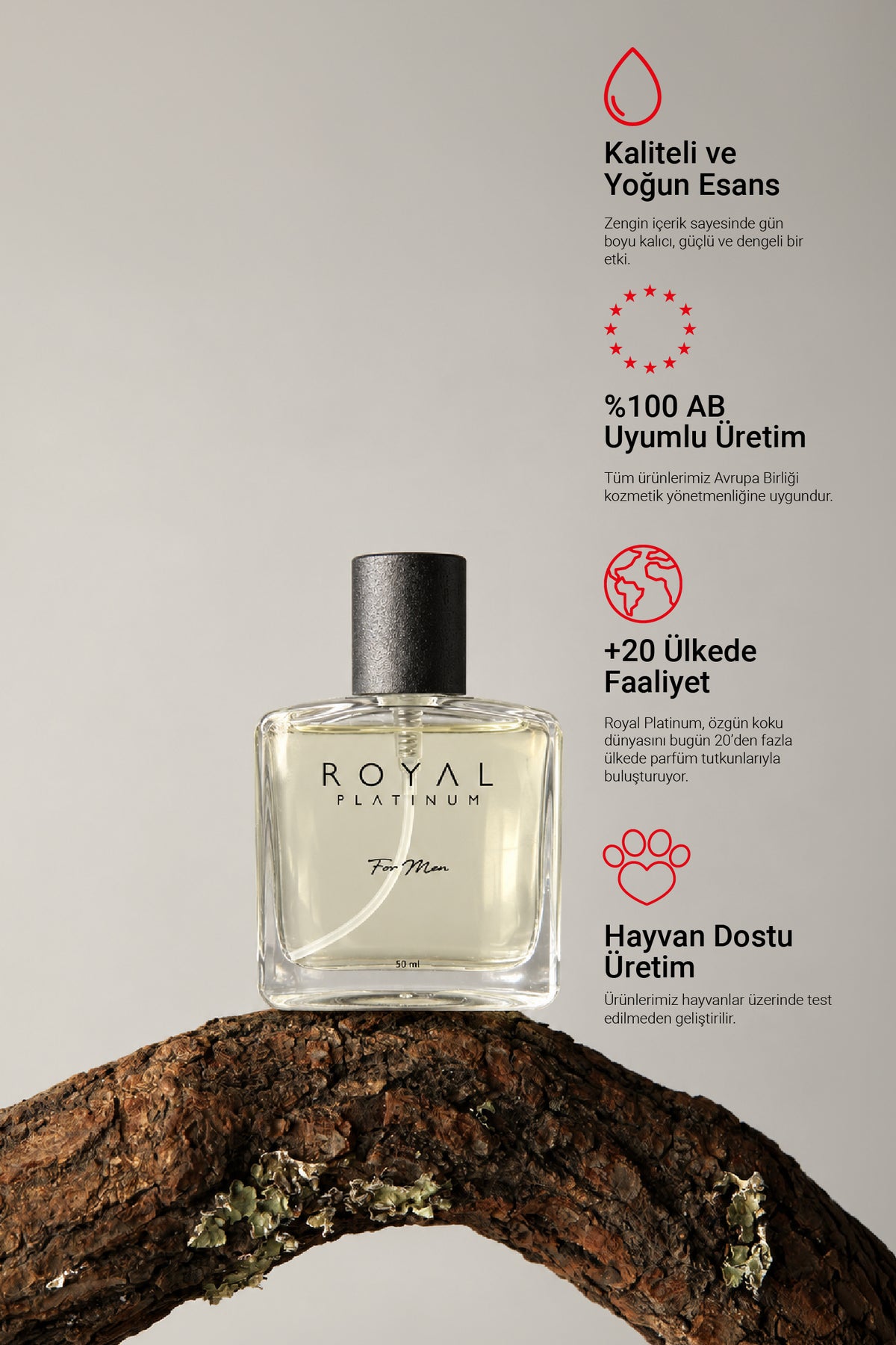 M587 Erkek Parfüm EDP 50 ML | Odunsu Seri