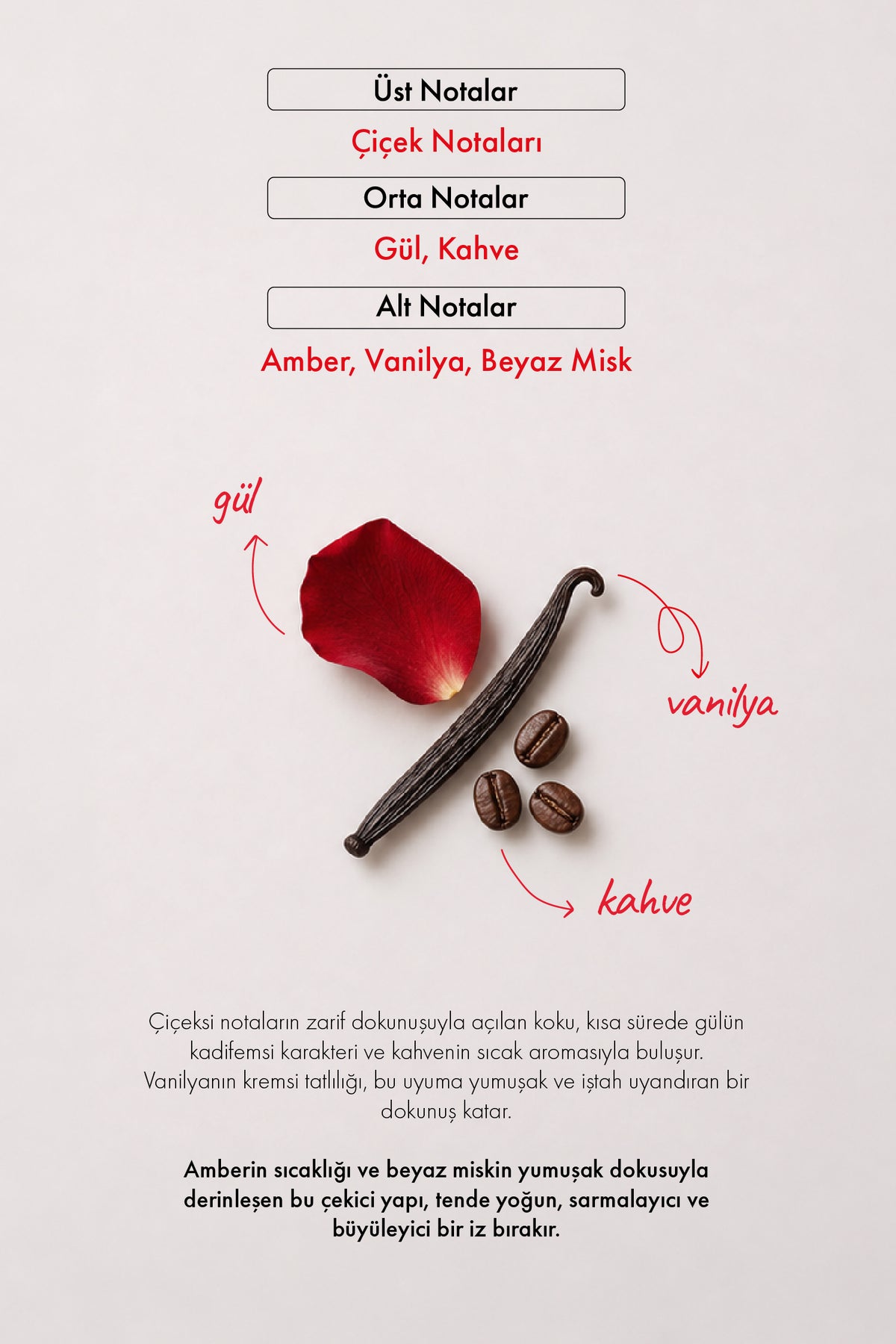 M643 Erkek Parfüm EDP 50 ML | Oryantal Seri