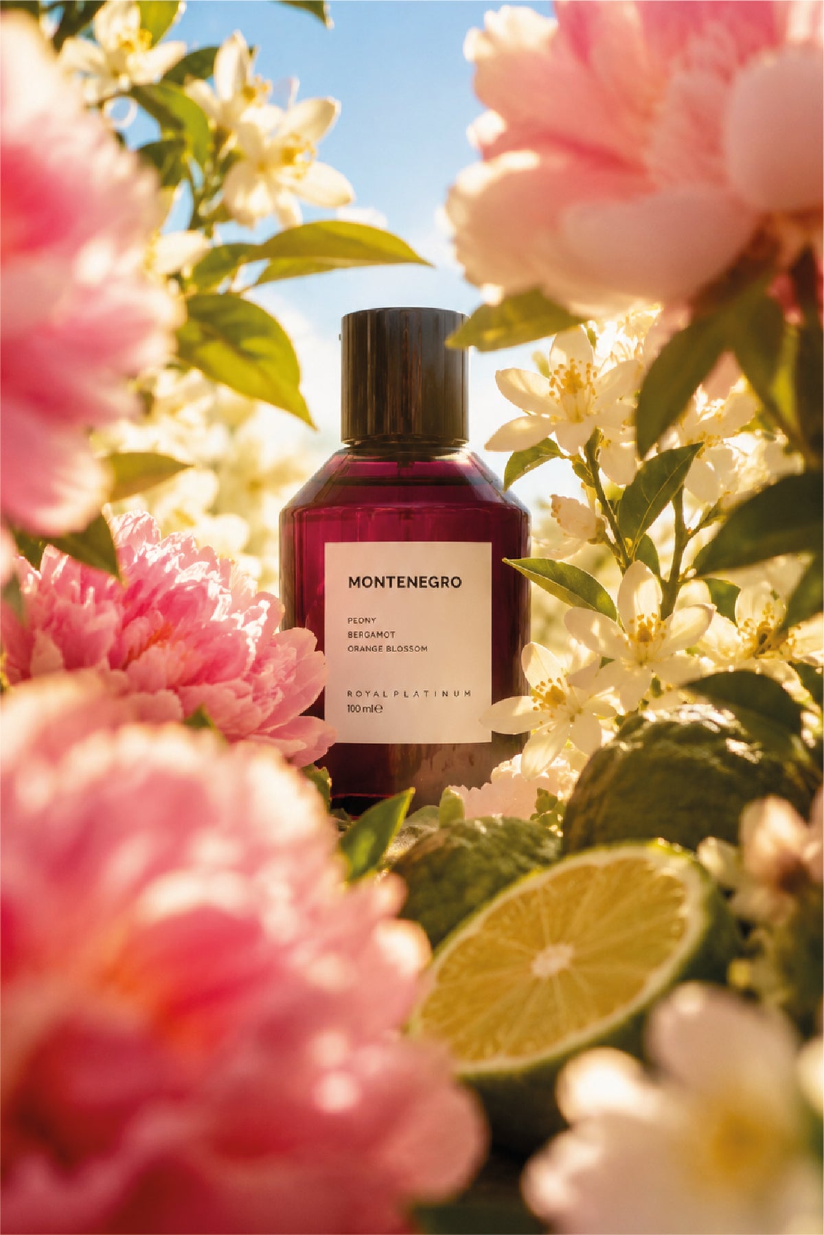 MONTENEGRO 100ML