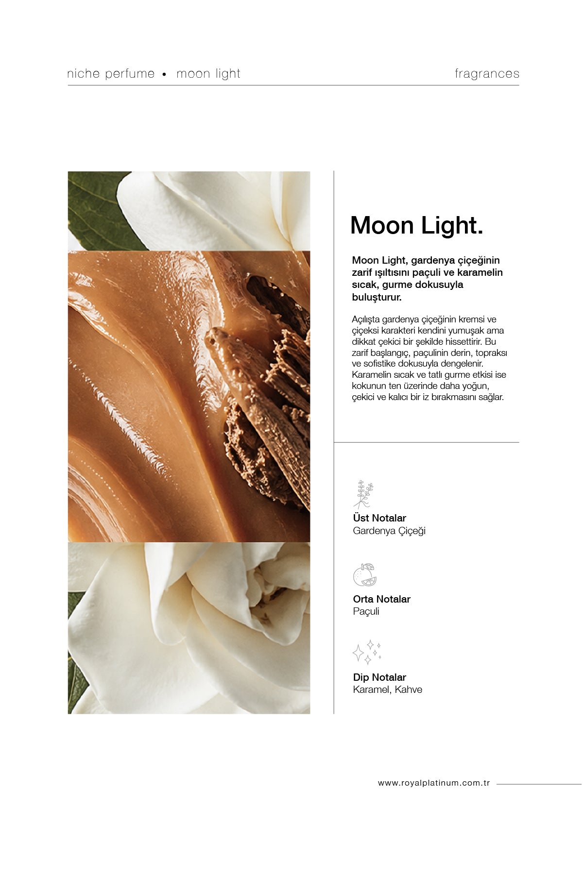 MOON LIGHT 30ML