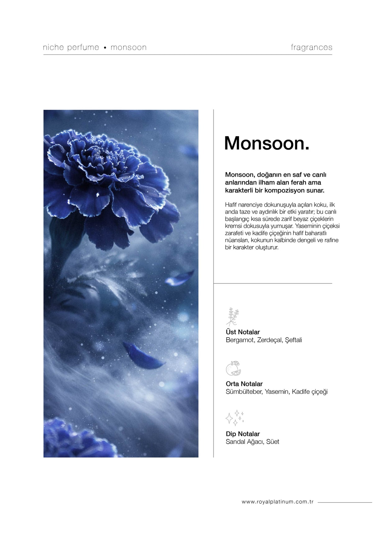 Monsoon Unisex EXTRAIT DE PARFUM 30 ML Şeftali - Kadife Çiçeği - Yasemin | Meyveli Seri