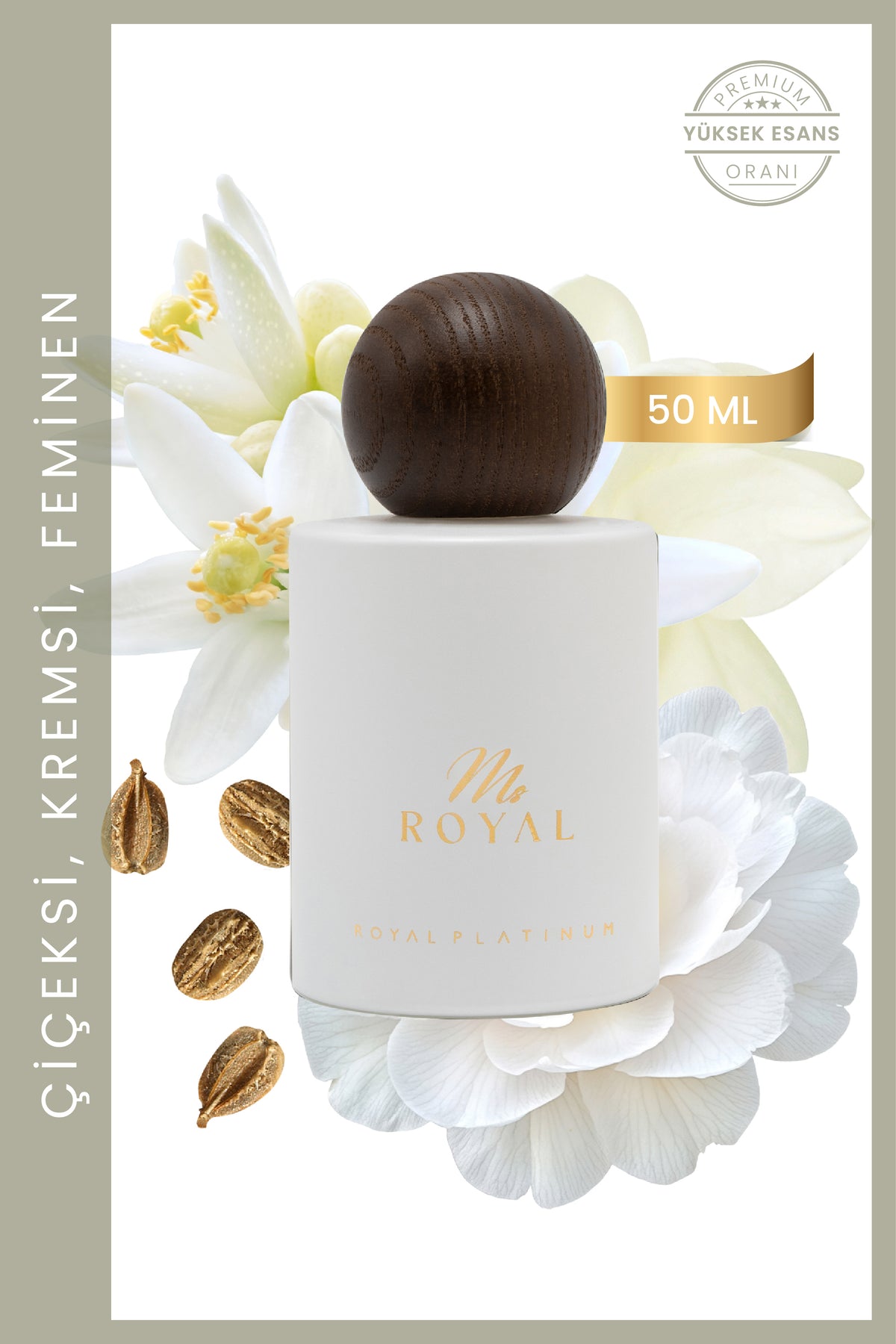 MS ROYAL