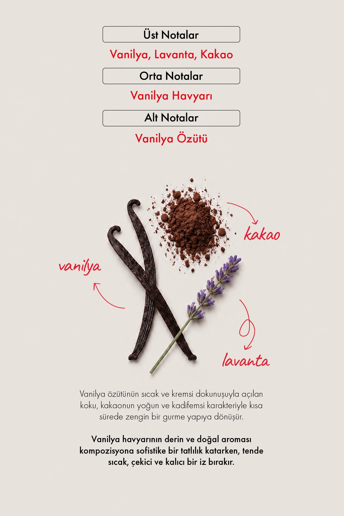 W117 Kadın Parfüm EDP 50 ML | Vanilya Serisi