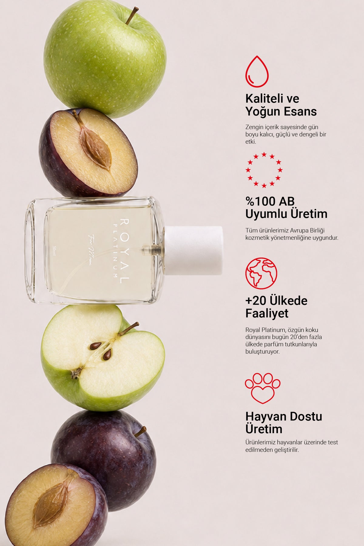 W390 Kadın Parfüm EDP 50 ML | Meyveli Seri