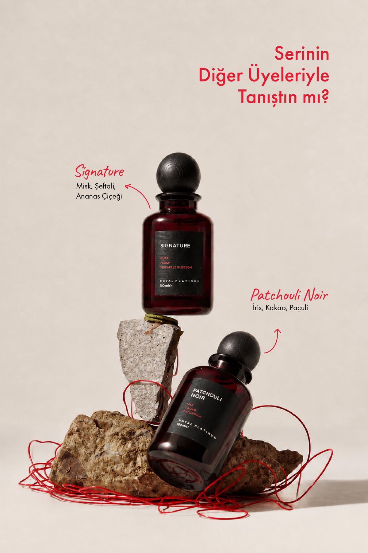 Signature Unisex EXTRAIT DE PARFUM 100 ML Şeftali - Gül - Ananas | Oryantal Seri