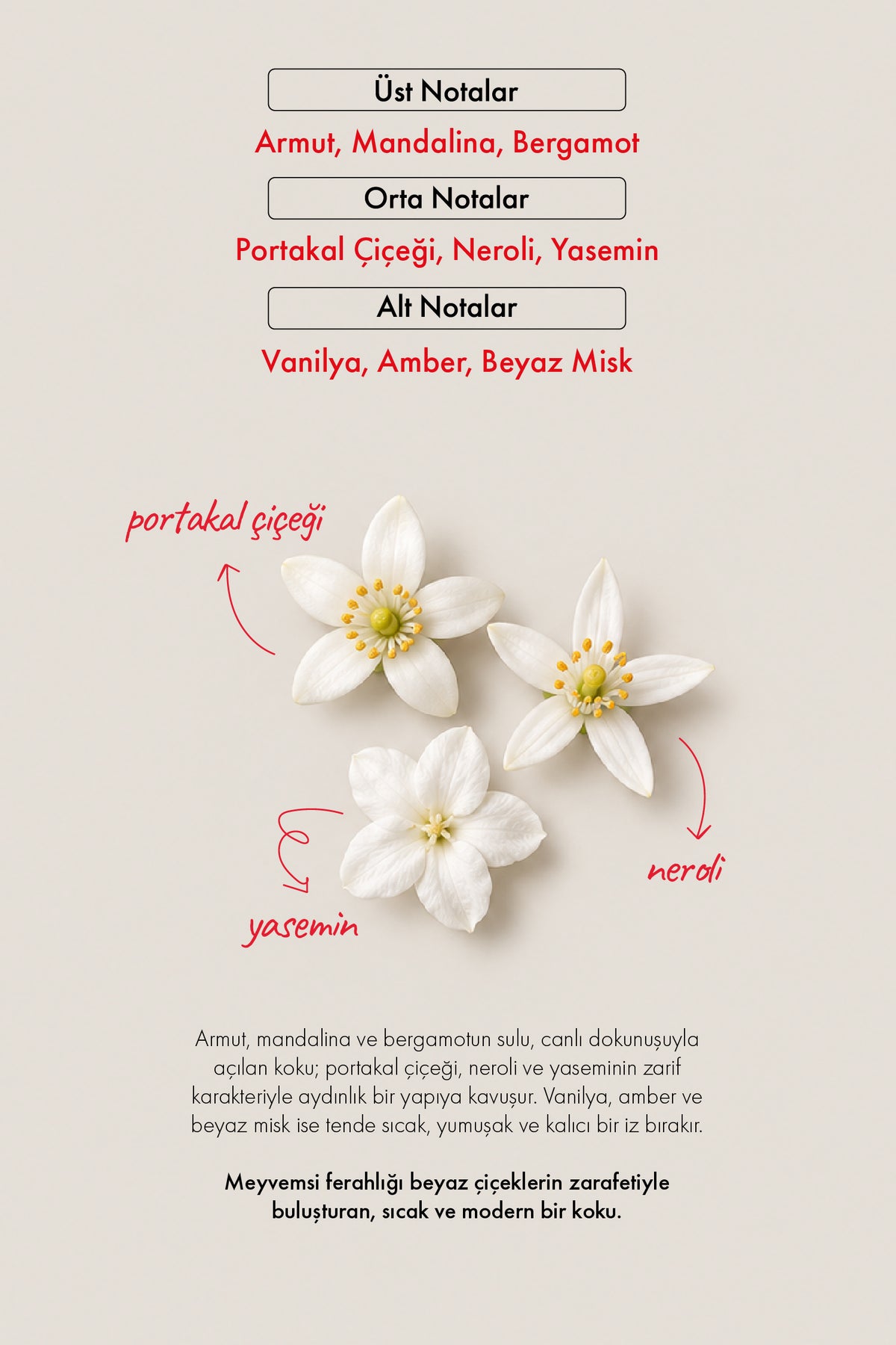 W198 Kadın Parfüm EDP 50 ML | Çiçeksi Seri