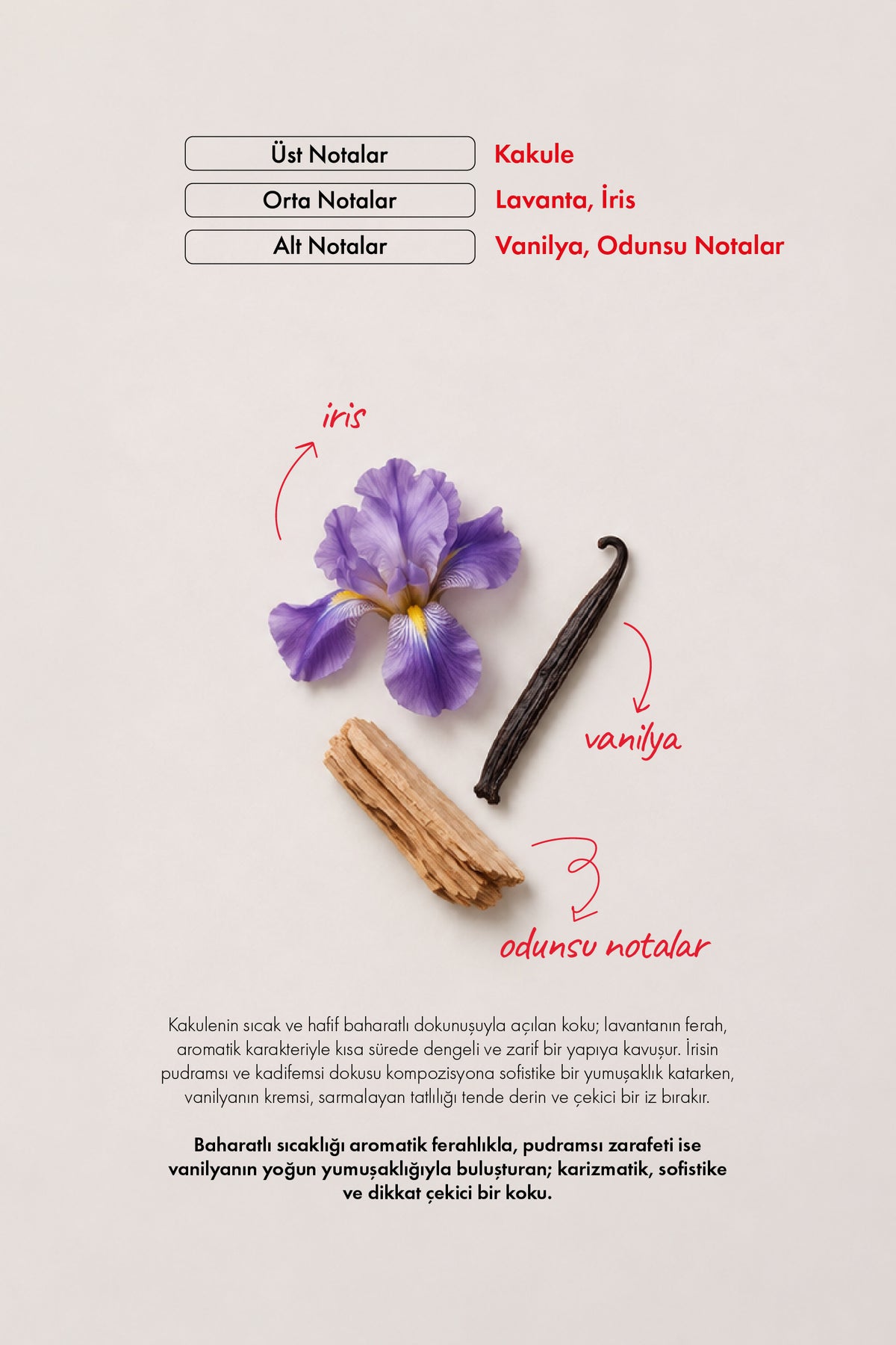WARM IRIS 100 ML NICHE PARFÜM