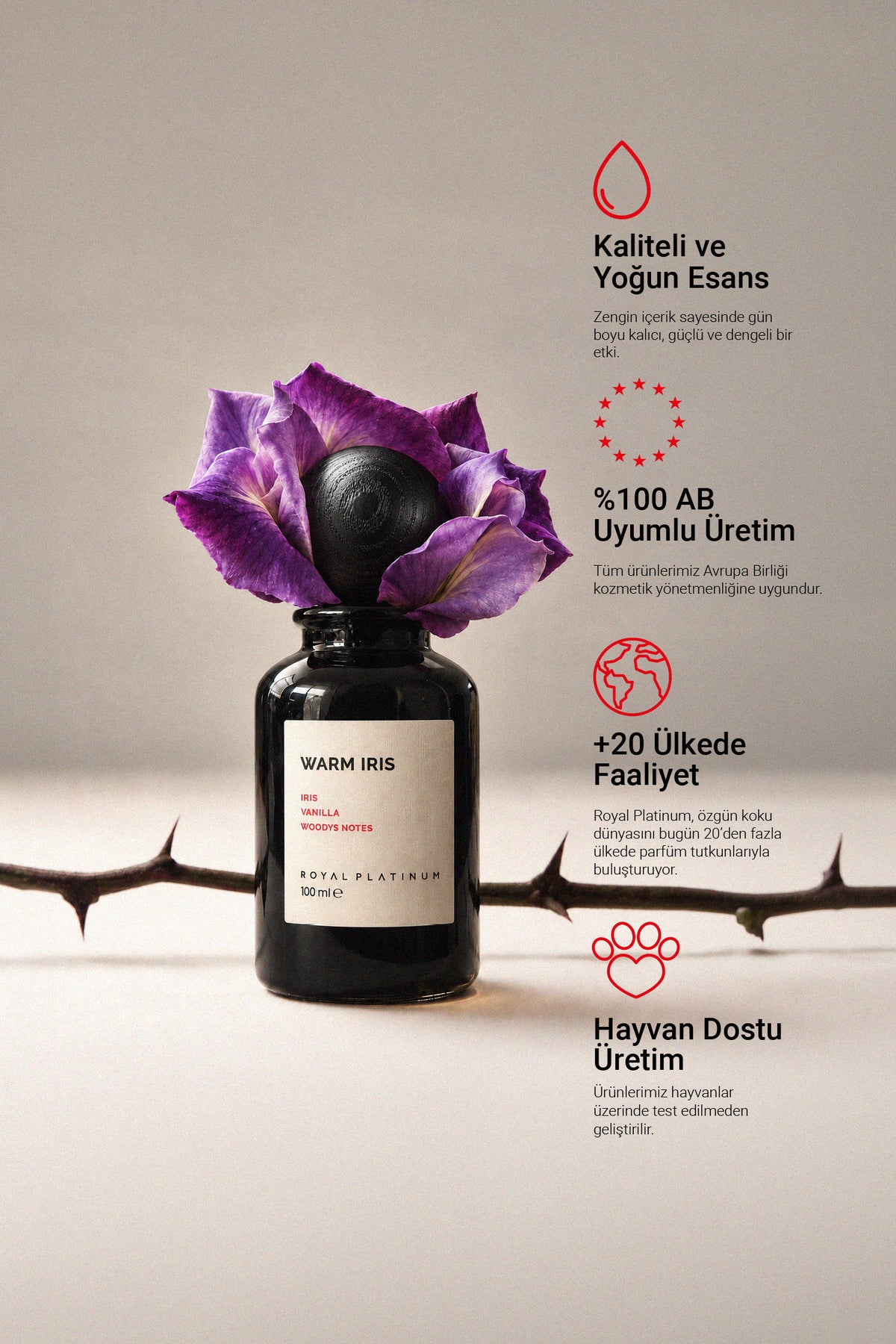 WARM IRIS 100 ML NICHE PARFÜM