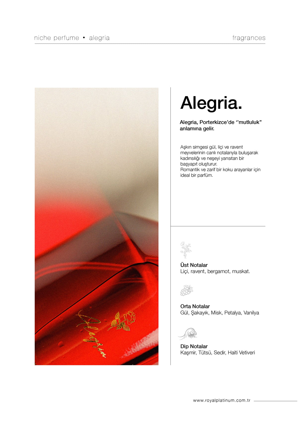 ALEGRIA 100ML