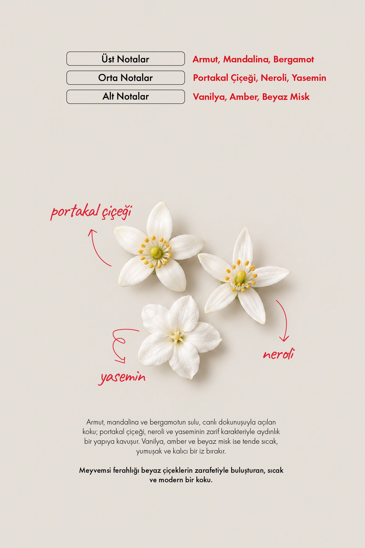 W198 Jasmine (Vücut ve Saç Spreyi) EDP 250 ML | Çiçeksi Seri