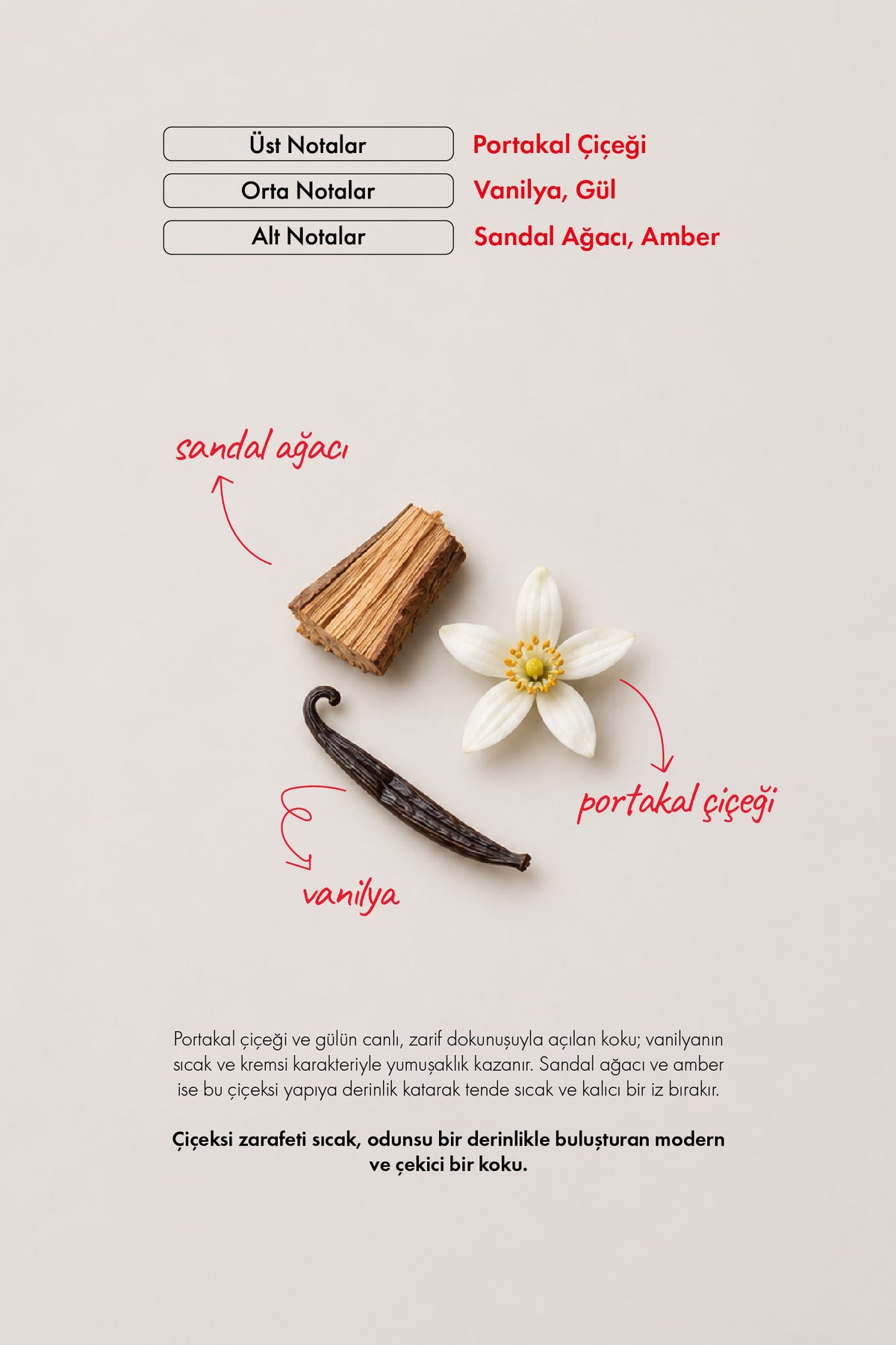 Body Mist W122 Powder (Vücut ve Saç Spreyi) EDP 250 ML | Vanilya Serisi