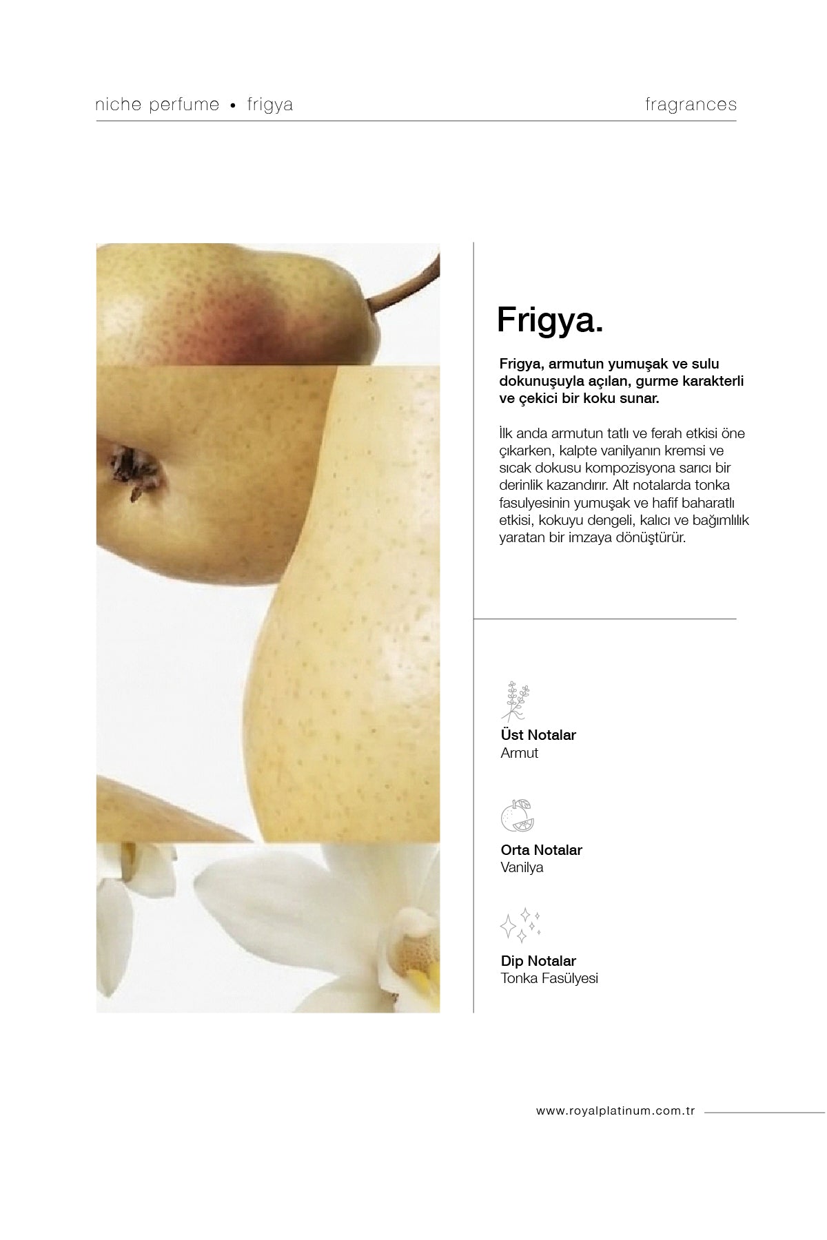 Frigya Kadın EXTRAIT DE PARFUM 100 ML Vanilya - Armut - Tonka Fasulyesi | Tatlı Seri