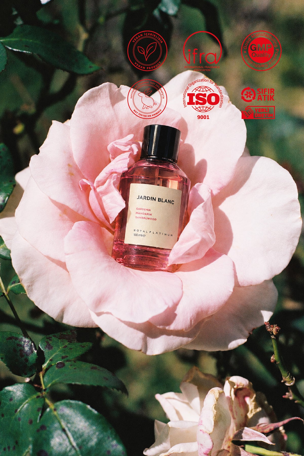 Jardin Blanc Kadın EXTRAIT DE PARFUM 100 ML Gardenya - Mandalina - Sandal Ağacı | Çiçeksi Seri