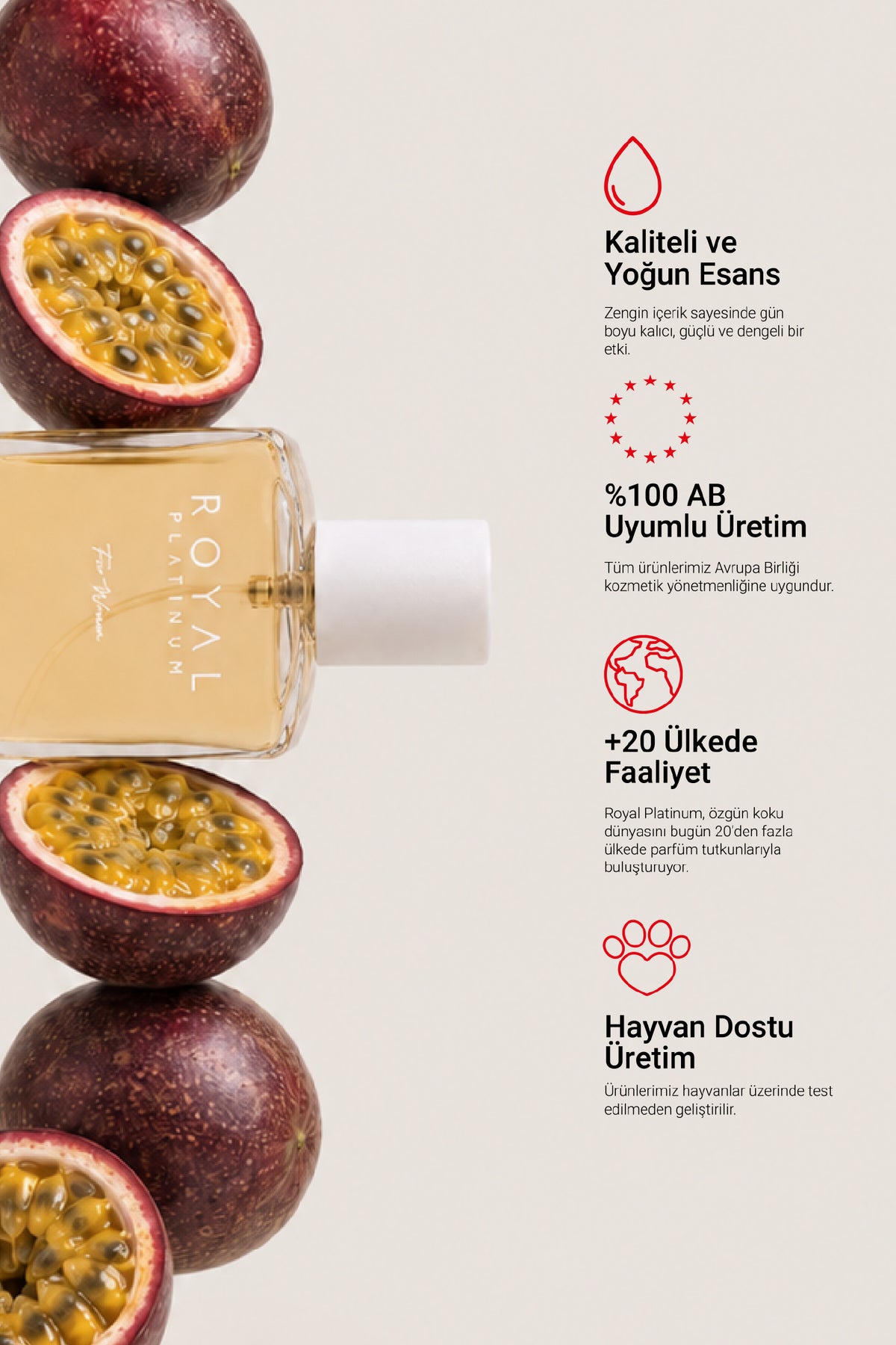 W388 Kadın Parfüm EDP 50 ML | Meyveli Seri