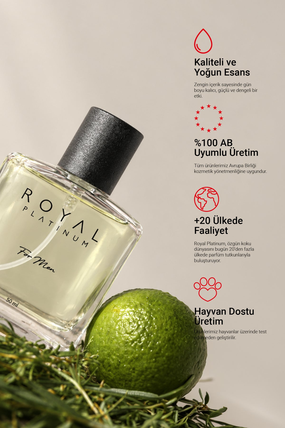 M555 Erkek Parfüm EDP 50 ML | Ferah Seri
