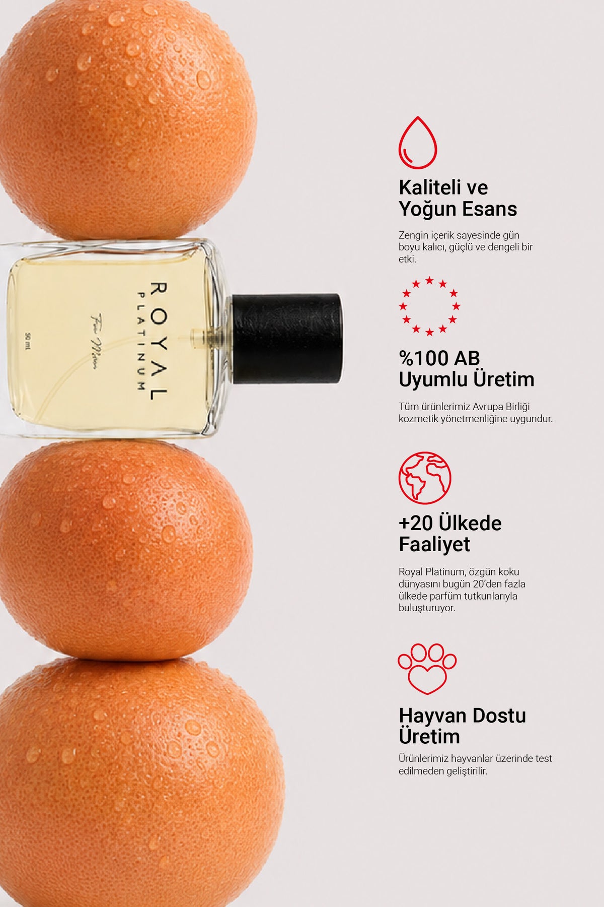 M561 Erkek Parfüm EDP 50 ML | Meyveli Seri