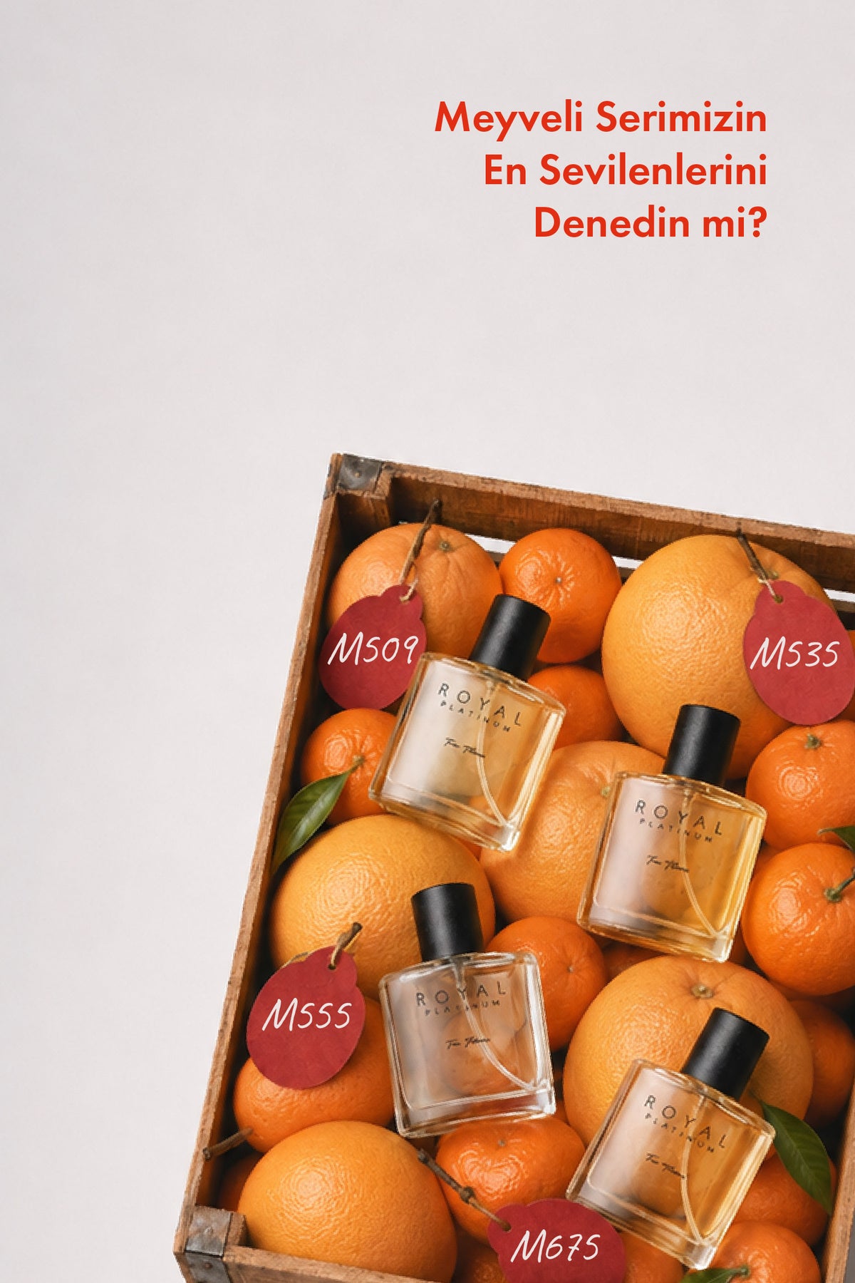 M561 Erkek Parfüm EDP 50 ML | Meyveli Seri