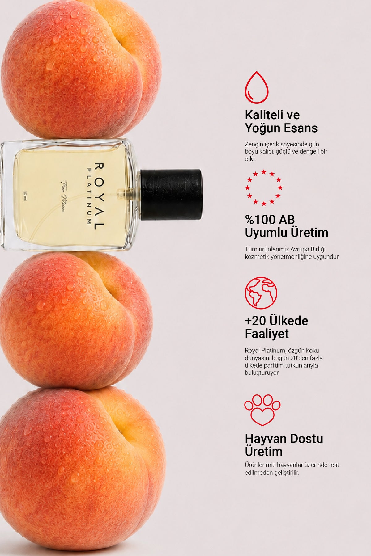 M575 Erkek Parfüm EDP 50 ML | Ferah Seri