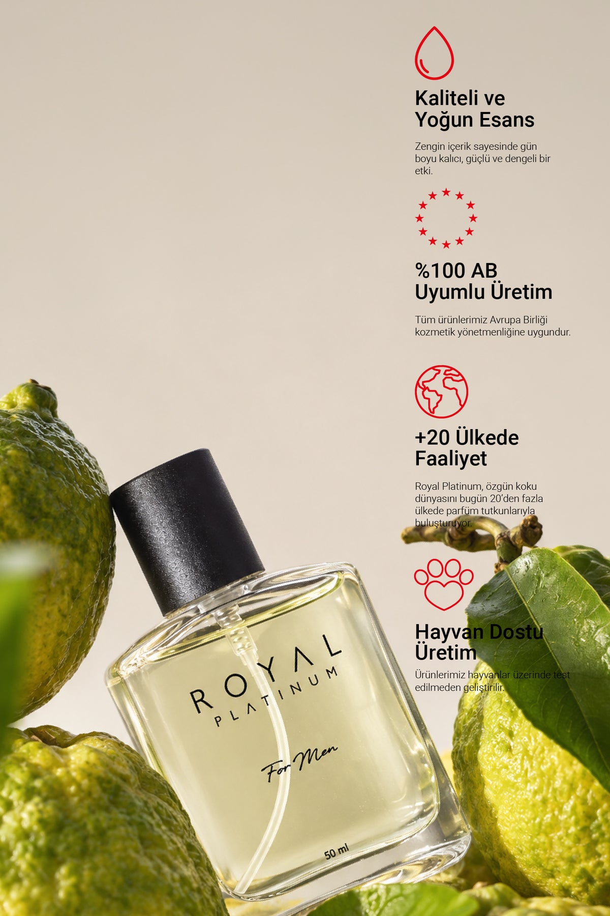 M591 Erkek Parfüm EDP 50 ML | Meyveli Seri