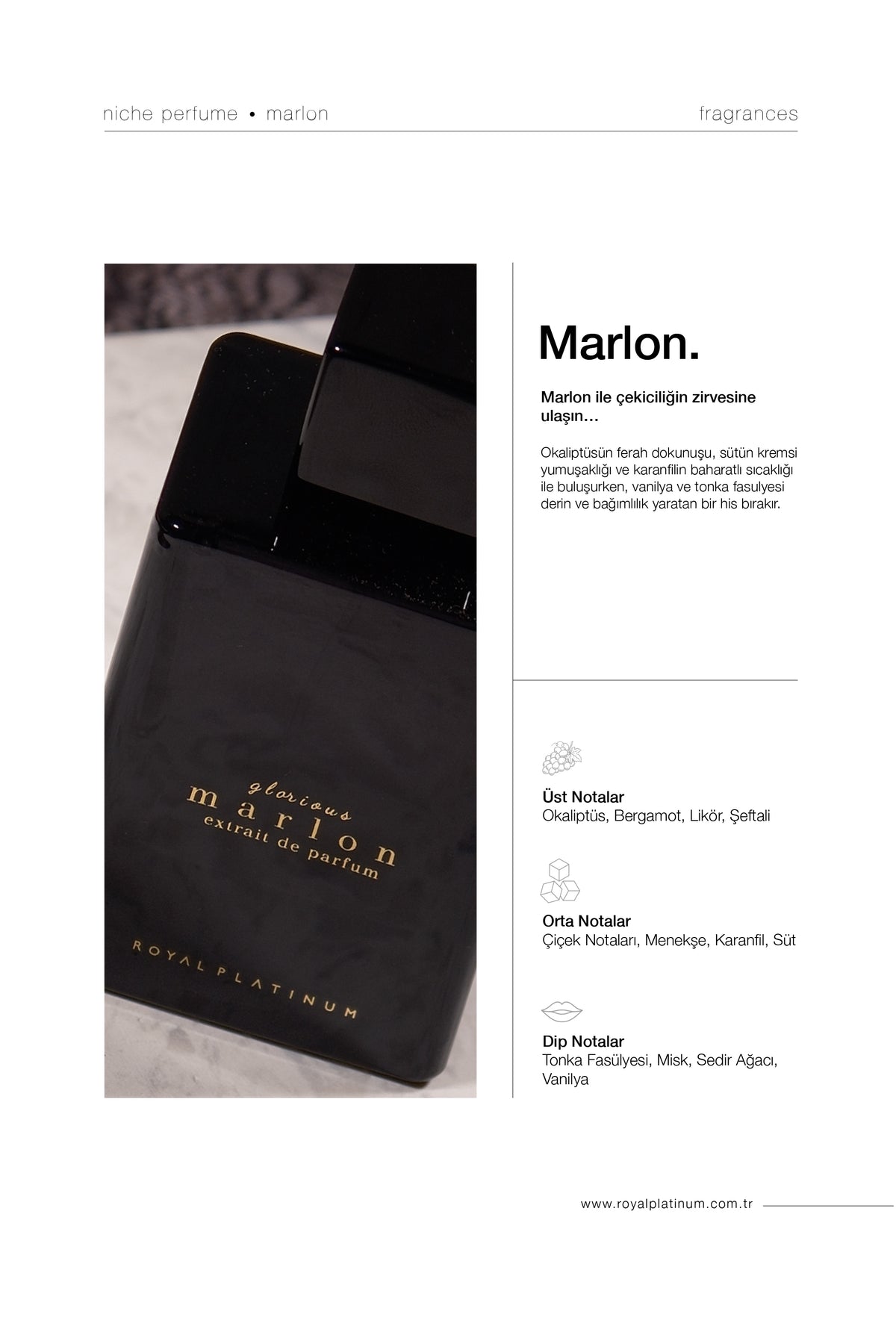 MARLON 100ML