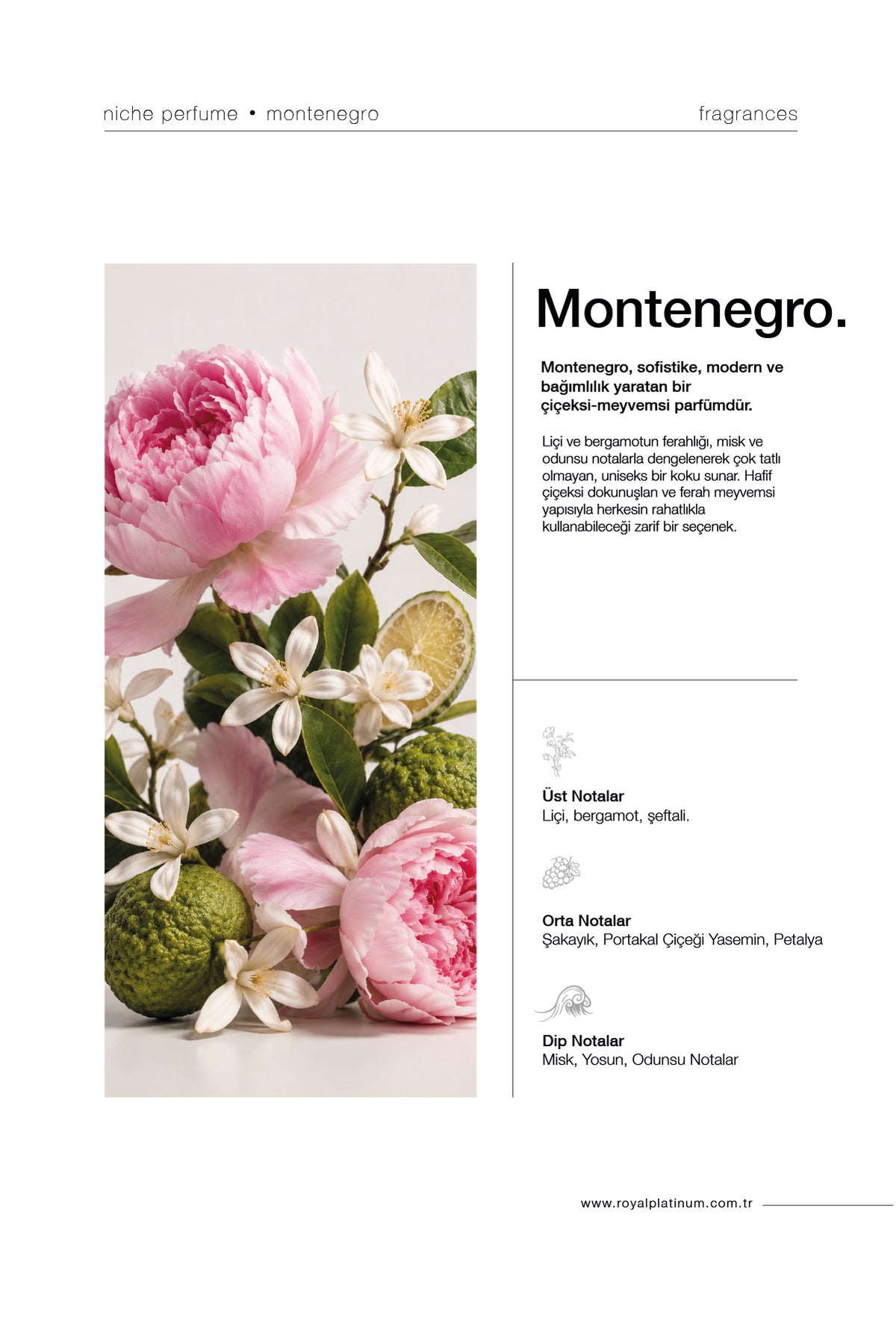 MONTENEGRO 100ML