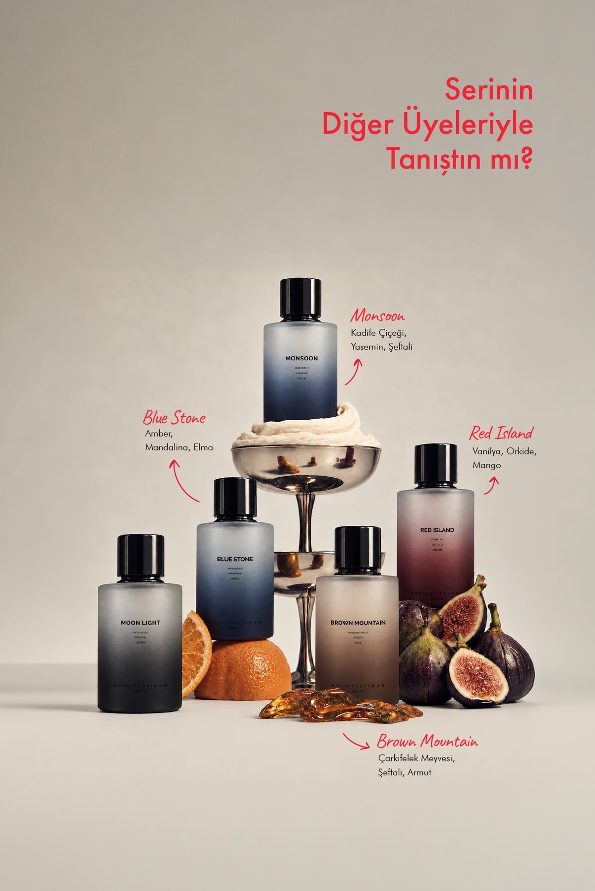 MOON LIGHT 100ML