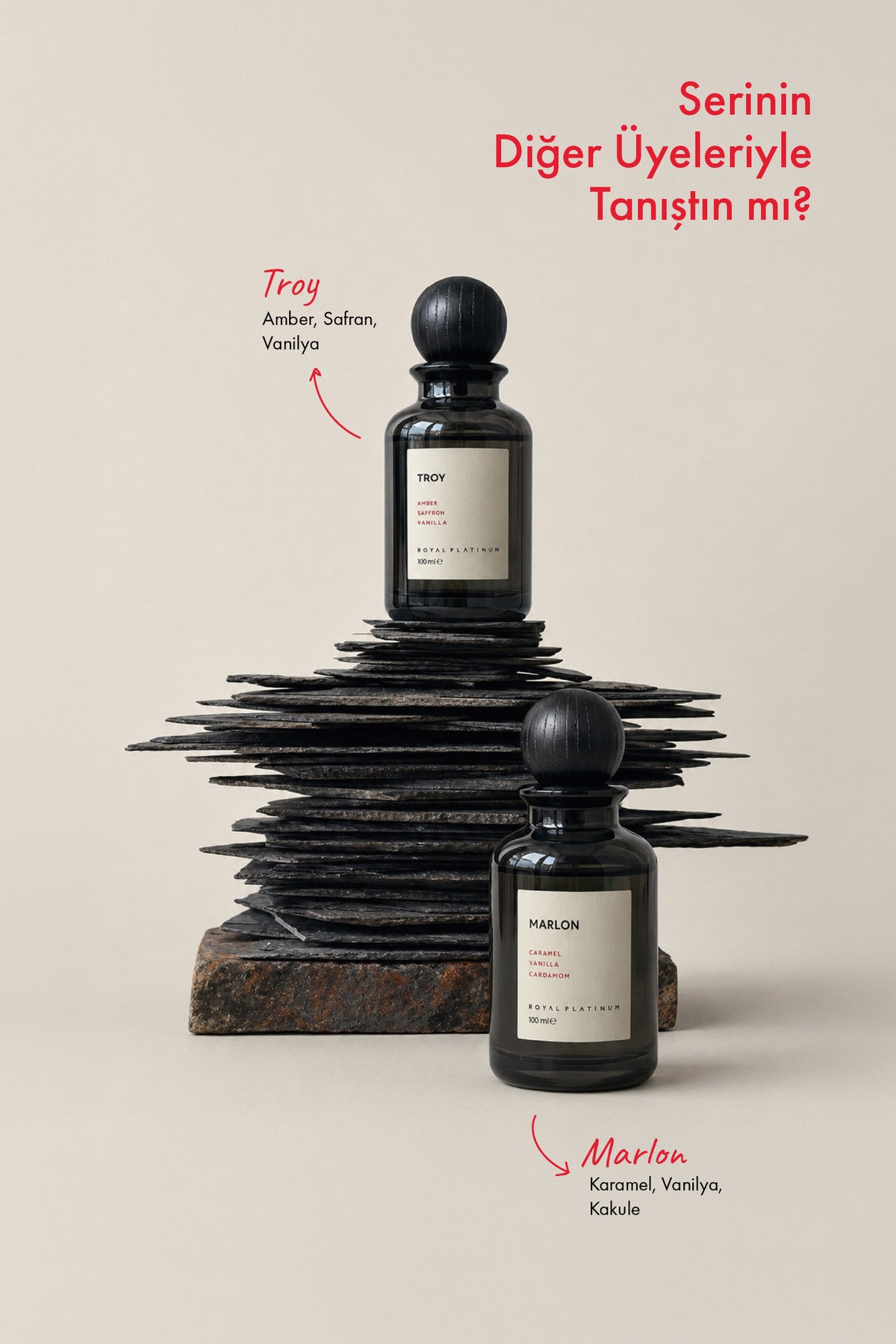 TROY 100ML