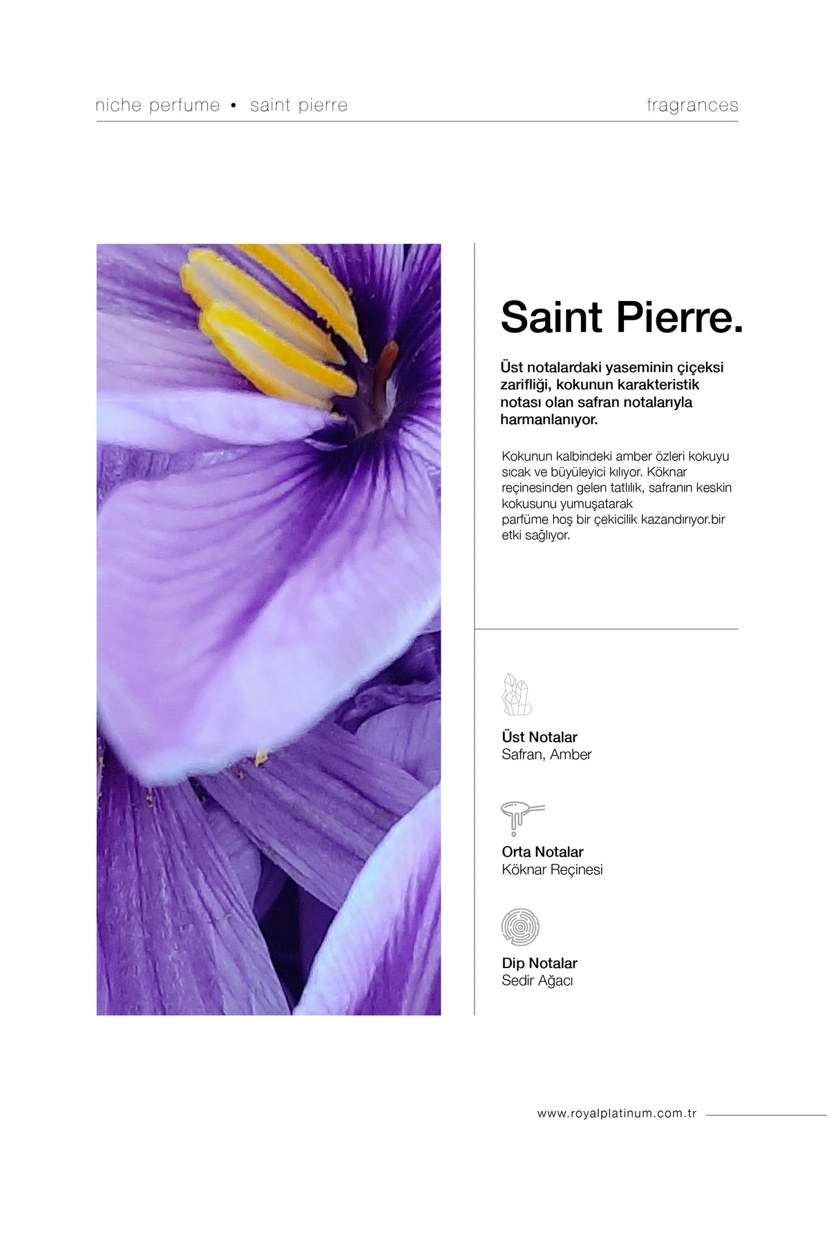 SAINT PIERRE