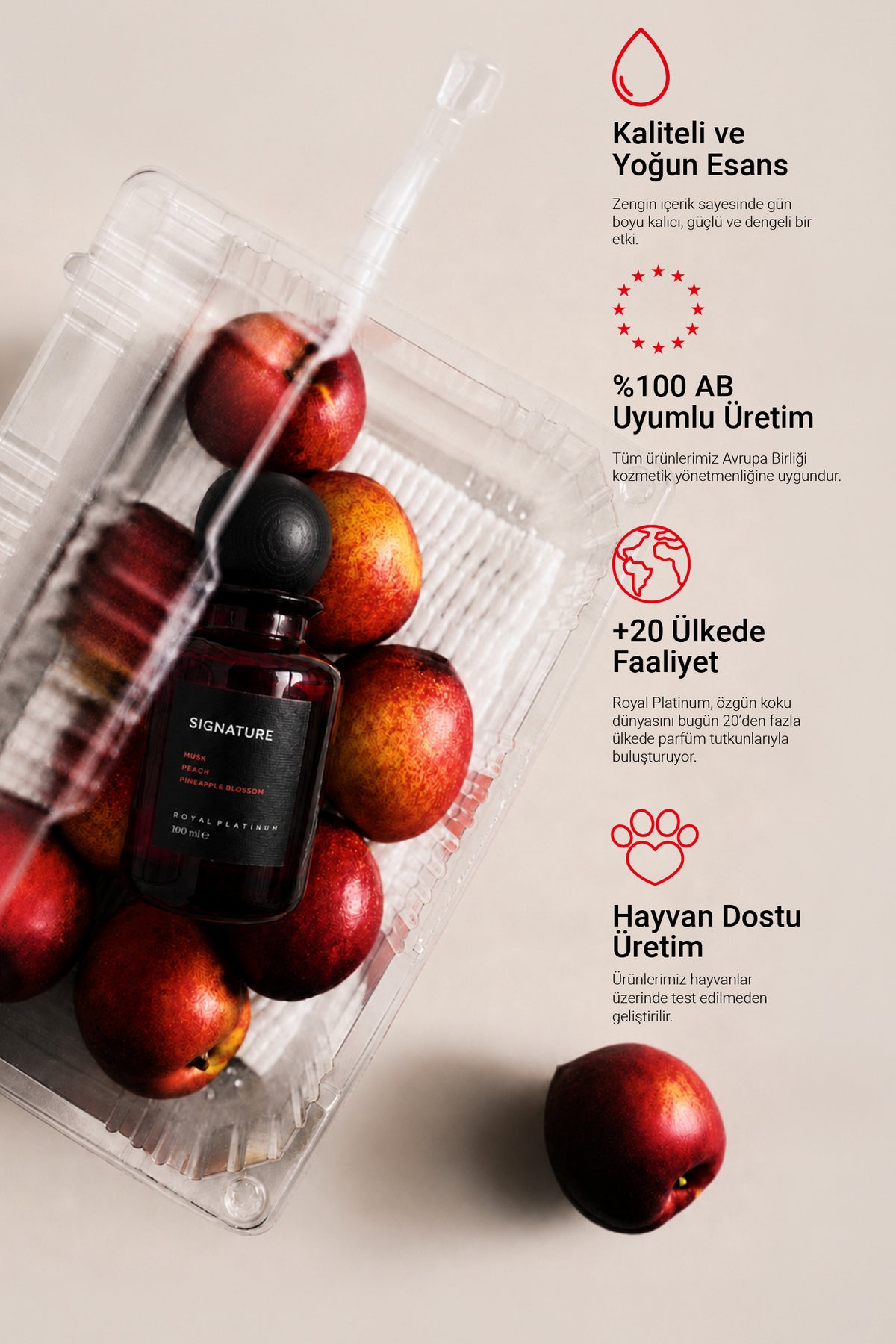 Signature Unisex EXTRAIT DE PARFUM 100 ML Şeftali - Gül - Ananas | Oryantal Seri