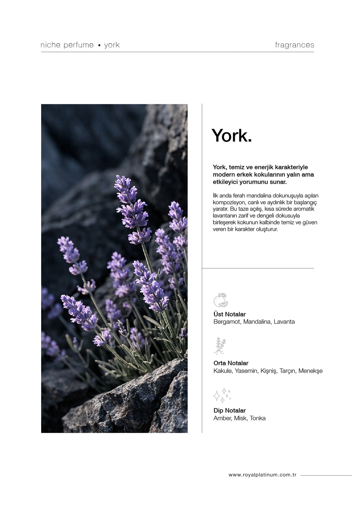 York Erkek EXTRAIT DE PARFUM 100 ML Lavanta - Mandalina - Amber | Ferah Seri