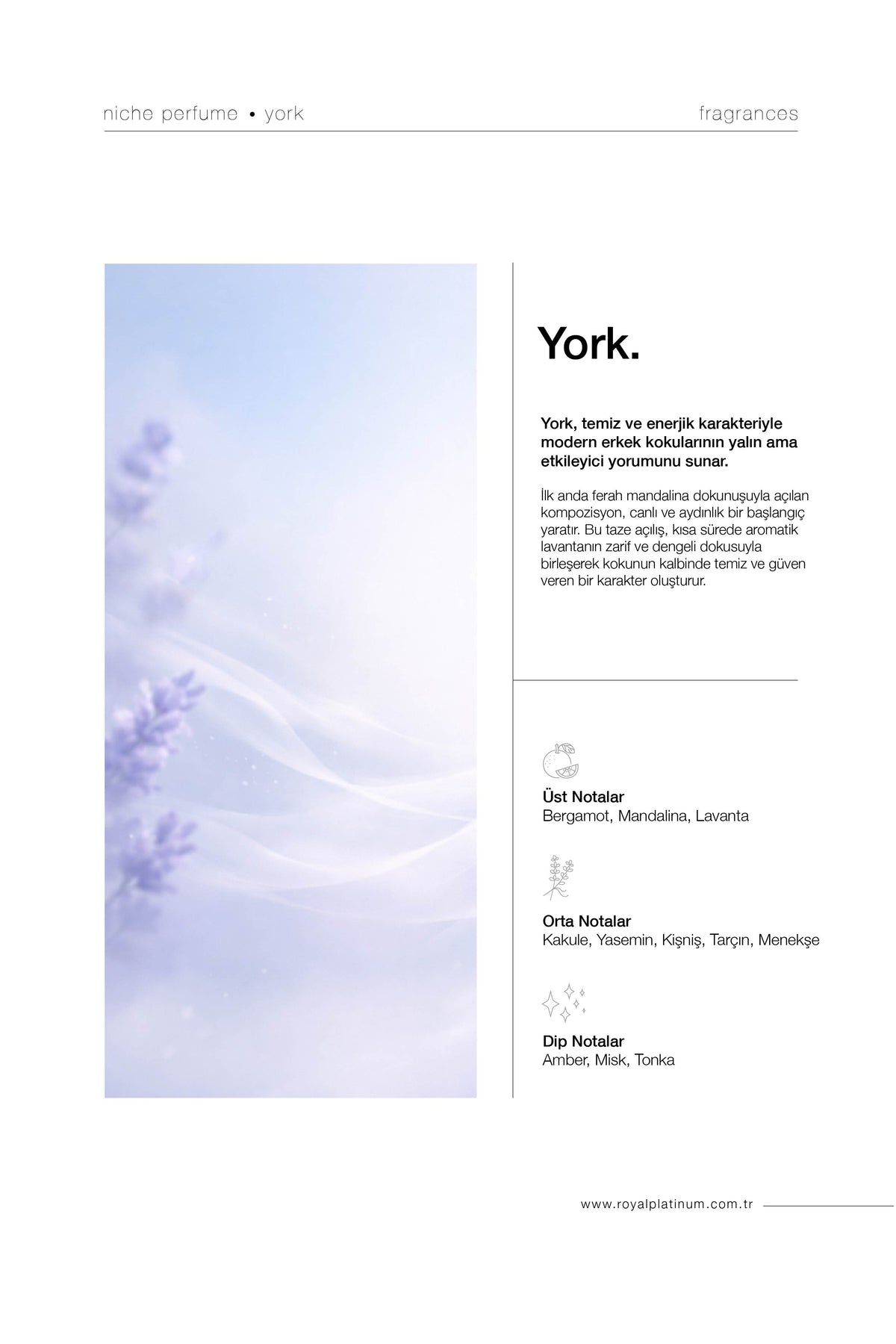York Erkek EXTRAIT DE PARFUM 30 ML Lavanta - Mandalina - Amber | Ferah Seri