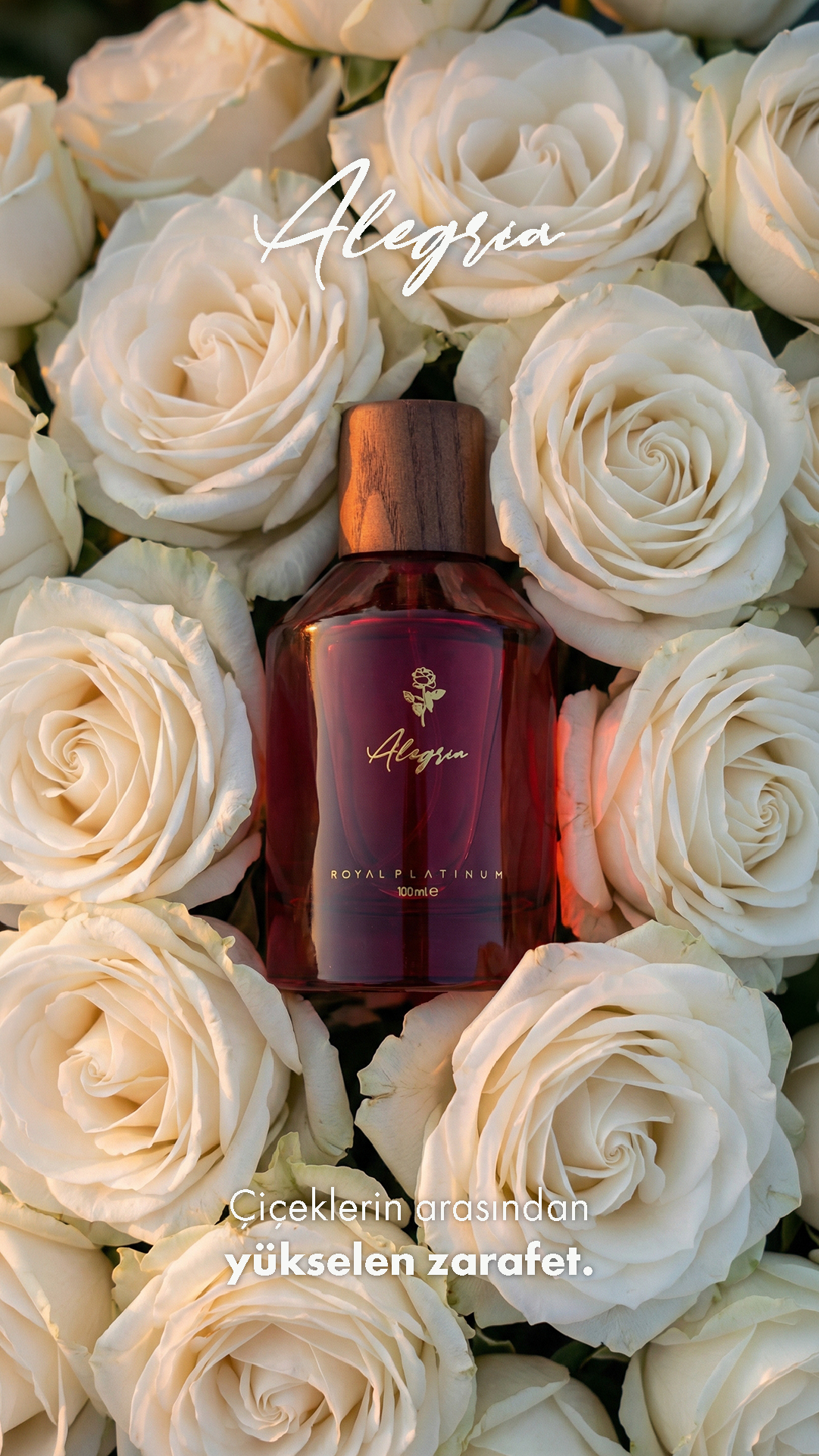 Kullanıma Göre Banner